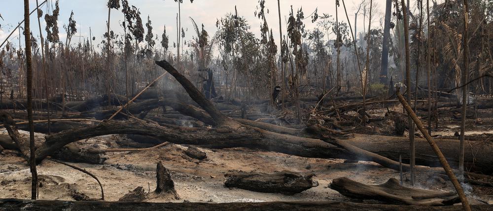 Eine abgebrannte Region im Amazonasgebiet in Brasilien (Archivbild). 