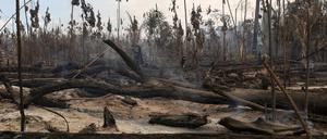 Eine abgebrannte Region im Amazonasgebiet in Brasilien (Archivbild). 