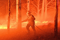 Ein Feuerwehrmann kämpft in Australien gegen die Flammen. Foto: SAEED KHAN / AFP