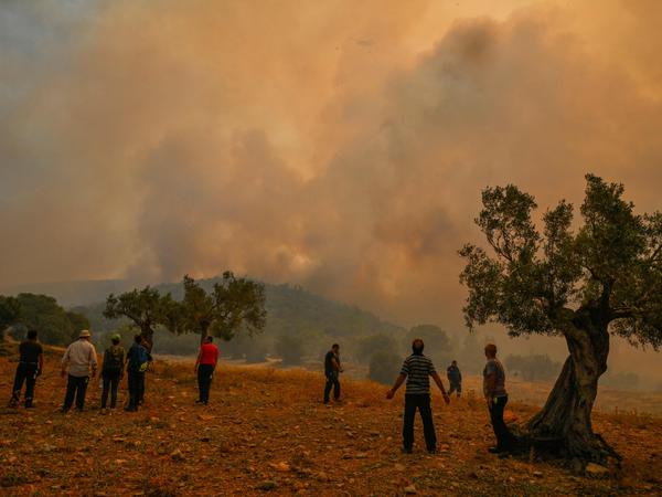 In Griechenland haben Feuerwehrleute am Mittwoch den dritten Tag in Folge gegen drei große Feuerfronten angekämpft. Hier die Waldbrände westlich von Athen.