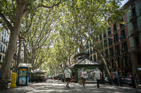 Betroffen von der Reisewarnung des Auswärtigen Amtes ist auch Katalonien mit der Touristenmetropole Barcelona. Foto: dpa / Thiago Prudencio
