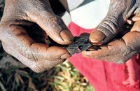 Weibliche Genitalverstümmelung wird international als Menschenrechtsverletzung und Kindermisshandlung bewertet. Foto: REUTERS/James Akena