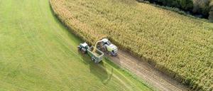 Traktor und Maishäcksler bei der Maisernte in Bayern, Deutschland, Europa 