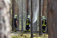 Im Landkreis Ostprignitz Ruppin hat es nach Angaben der Polizei in den vergangenen Tagen drei Waldbrände sowie weitere Feuer gegeben. (Archivbild) Foto: dpa/Patrick Pleul