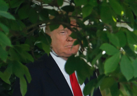 US-Präsident Donald Trump spricht im Rosengarten des Weißen Haus in Washington (USA) zum Pariser Klimaabkommen. Foto: Pablo Martinez Monsivais/AP/dpa