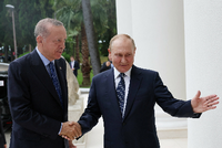 Ankunft in Sotschi: Der türkische Präsident Recep Tayyip Erdogan wird begrüßt von Russlands Präsident Wladimir Putin. Foto: via Reuters