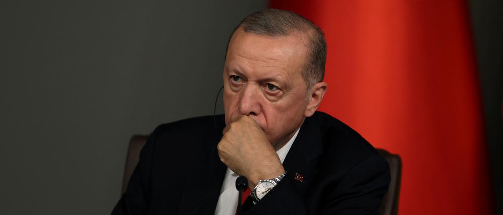 Der türkische Präsident Erdogan am 8. Juli bei einer Pressekonferenz in Istanbul.