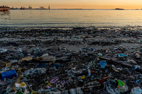Müll liegt am Strand Capurro in der Bucht von Montevideo. Foto: Matilde Campodonico/AP/dpa
