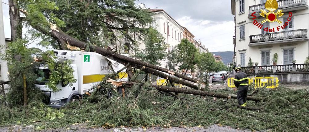 Ein Baum ist nach einem schweren Unwetter in der Nacht auf einen Lkw gestürzt. Starke Orkanböen sowie schwere Hagelschauer und Regenfälle sorgten für umgestürzte Bäume, blockierten Straßen und beschädigten Häuser.
