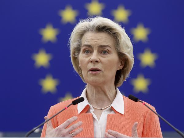 Die Parteifreunde von Ursula von der Leyen, Präsidentin der Europäischen Kommission, schweigen mehrheitlich. 