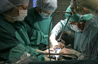 Lebensrettend: Am Uni-Klinikum Jena wird einem Organspender eine Niere entnommen. Foto: Jan-Peter Kasper/ dpa