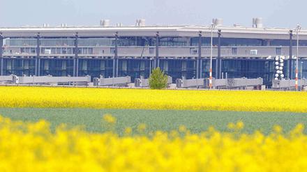 Hinter blühenden Rapsfeldern sieht man am Mittwoch 09.05.2012 den Main Pier des neuen Hauptstadtflughafens BER in Schönefeld. Wegen Brandschutzproblemen wurde der Eröffnungstermin des neuen Flughafen verschoben. 