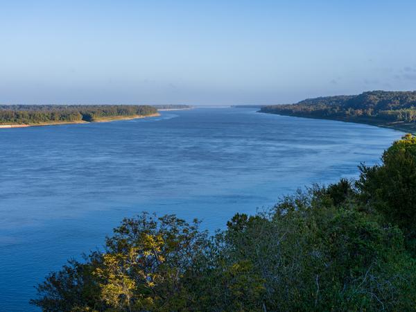 Das Einzugsgebiet des Mississippi ist Teil des ursprünglichen Verbreitungsgebietes des Roten Amerikanischen Sumpfkrebses.