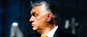 Ungarischer Premier: Viktor Orbán: Er will vor allem die EU-Milliarden.