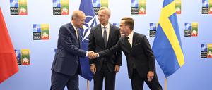 Handshake in Vilnius: Erdogan sagt Unterstützung für schwedischen Nato-Beitritt zu