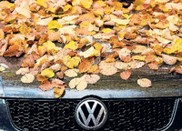 Greenpeace verklagt Volkswagen auf einen Verbrenner-Ausstieg bis 2030. Foto: Daniel Bockwoldt/dpa