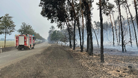 Ein Feuerwehrwagen fährt zwischen Kosilenzien und Nieska im Landkreis Elbe-Elster an einem abgebrannten Wald vorbei. Foto: dpa/Julius-Christian Schreiner