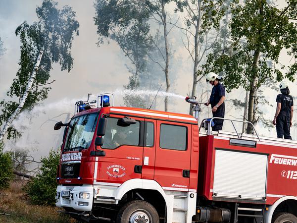 In diesem Jahr musste die Feuerwehr in Brandenburg deutlich weniger Waldbrände bekämpfen als im Vorjahr.