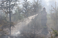 Einsatzkräfte der Feuerwehr löschen einen Waldbrand. (Symbolbild) Foto: dpa/Matthias Bein
