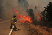 Waldbrände in Chile. Foto: Santiago Morales/Agencia Uno/dpa