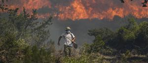 25.07.2023, Griechenland, Rhodos: Ein Wald steht in Flammen im Dorf Vati.