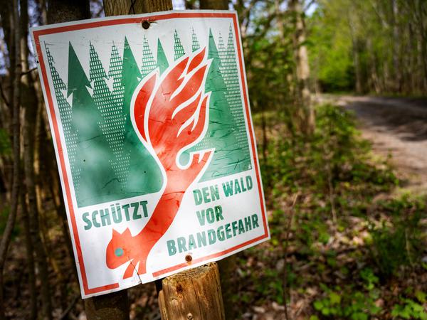 Ein Schild mit der Aufschrift «Schütz den Wald vor Brandgefahr» hängt in einem Wald.
