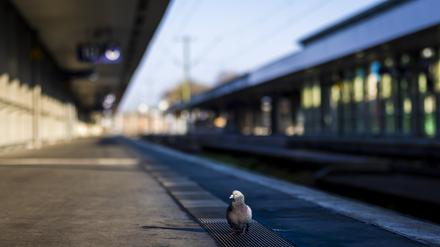 In Deutschland könnten Bahnsteige bald wieder leer bleiben. 