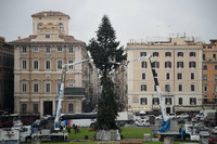 Graue Weihnachtsstimmung: Das Wetter beim Aufstellen des Weihnachtsbaumes auf dem Piazza Venezia in Rom ist ebenso trüb wie das Verhältnis zwischen Wirtschaftsverbänden und Regierung. Foto: dpa