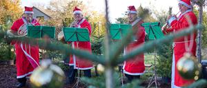 Das Weihnachtsmänner-Horn-Quartett musiziert vor einem eingetopften Tannenbaum. 