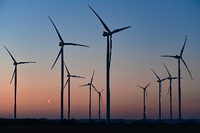 Windkrafträder stehen im Landkreis Oder-Spree. Foto: Patrick Pleul/dpa-Zentralbild/dpa