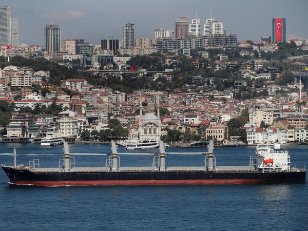 Der unter liberianischer Flagge fahrende Massengutfrachter Primus durchquert den Bosporus auf seinem Weg ins Mittelmeer.