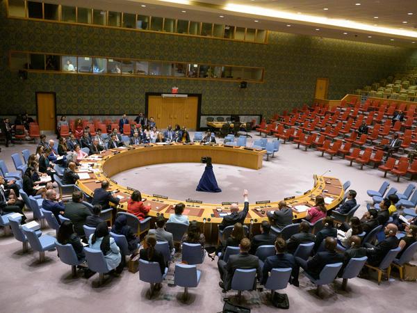 Abstimmung über einen Resolutionsentwurf zur Erneuerung der Sanktionen gegen Mali während einer Sitzung des UN-Sicherheitsrats im UN-Hauptquartier in New York am 30. August.