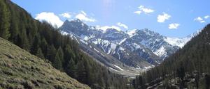 Malerische Alpen. Hier ein Gebirgsmassiv mit dem 3048 Meter hohen Piz Saliente in Italien.
