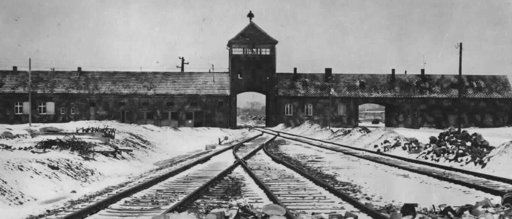 Zum siebzigsten Mal jährt sich am Dienstag die Befreiung des Vernichtungslagers Auschwitz-Birkenau durch sowjetische Truppen. Drei Berliner Institutionen zeigen Filme zum Holocaust