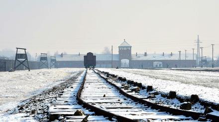 Todesgleis. Auschwitz im Winter.