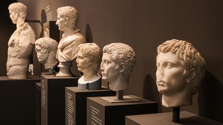 Phalanx abgeschlagener Nasen. Blick in die Ausstellung „Die neuen Bilder des Augustus“ mit einer Reihe antiker Büsten.