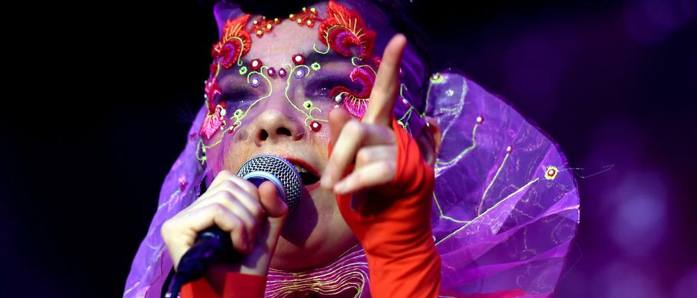 Die isländische Musikerin Björk.
