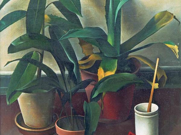 Stille Tage. 1926 malte Alexander Kanoldt drei traurige Topfpflanzen.
