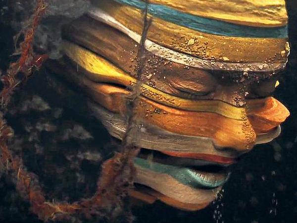 Metamorphosen. Björk im Video „Mutual Core“ von Regisseur Andrew Thomas Huang.