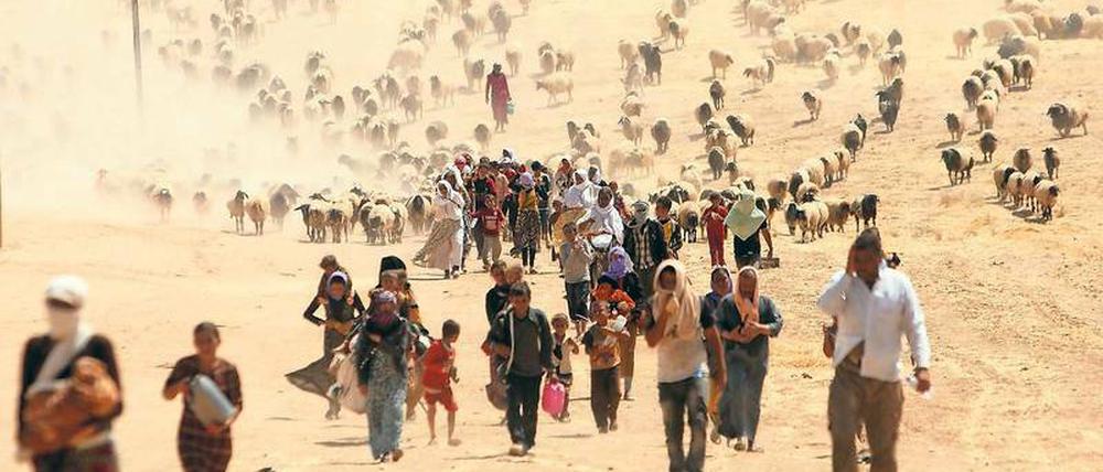 Jesiden fliehen im Nordirak vor den IS-Terrormilizen in Richtung syrische Grenze.