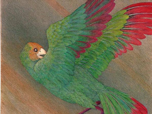 Ilna Ewers-Wunderwald zeichnete 1955 einen bunten Vogel und gab ihrem Blatt den Titel „Angst“.