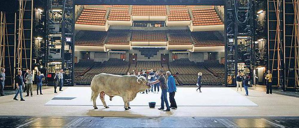 Massiver Einsatz. Ein Stier auf der Bühne der Opéra Bastille.