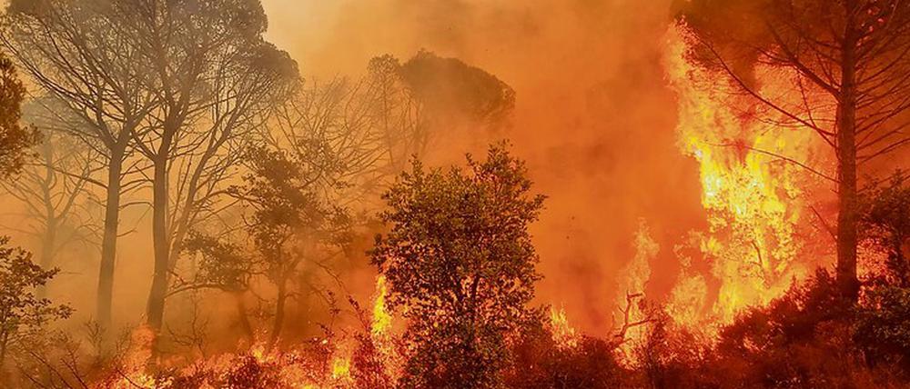 Gut möglich, dass die Welt in nicht allzu ferner Zeit unbewohnbar sein wird. Auf dem Foto einer der vielen Waldbrände in diesem Sommer, hier in Frankreich. 
