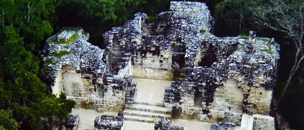 Blick auf Calakmul, das 2002 in die Unesco-Weltkulturerbeliste aufgenommen wurde. 
