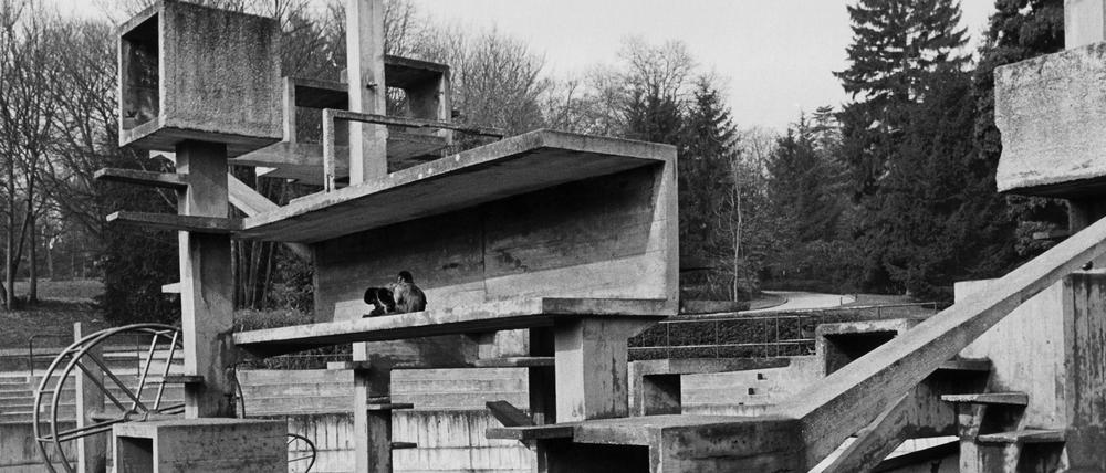 Fotodokumentation „Gastland Bundesrepublik Deutschland“ (1983/84) von Hildegard Ochse: Affen im Zoo von Mulhouse.