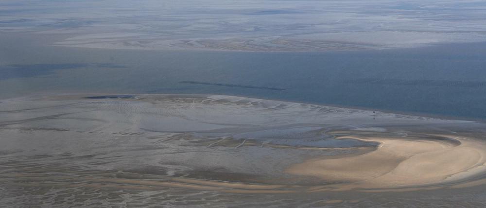 Nordseelandschaft vor Büsum. Seit zehn Jahren gehört das Wattenmeer zum Unesco-Weltnaturerbe. 