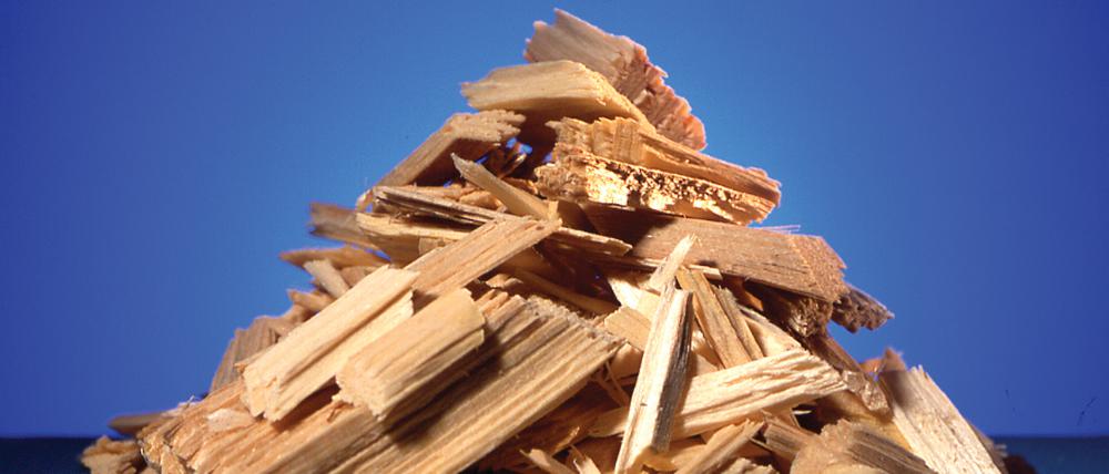 Aus Holzhackschnitzeln wird Zellstoff für die Papierherstellung gewonnen.