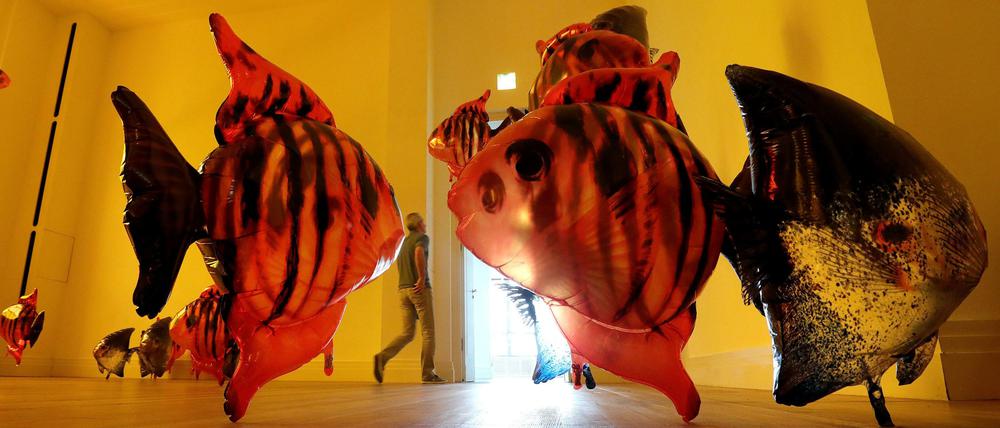 Philippe Parrenos Kunstwerk "My Room is Another Fish Bowl" im Martin-Gropius-Bau.