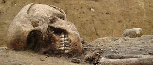 Archäologen fanden in Süditalien das Skelett eines Mannes, der 79 nach Christus ums Leben kam.