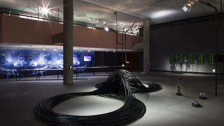 Digital-analoges Gedärm. Ein Blick in die Ausstellung "Alien Matter" im Haus der Kulturen der Welt. 